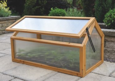 How to keep your plants cosy over winter